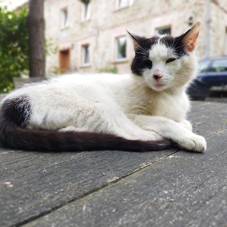 Apartamenty U Golebiewskich Stara Kamienica Exterior foto